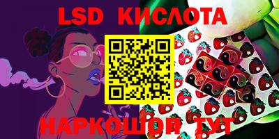 дживик Новодвинск