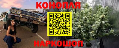 дживик Новодвинск